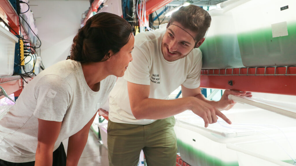 Man showing woman spirulina farming process