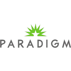 Paradigm of NY Logo