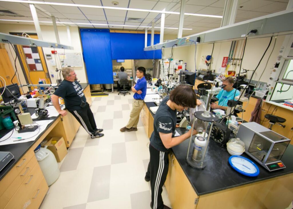 Students working in labs