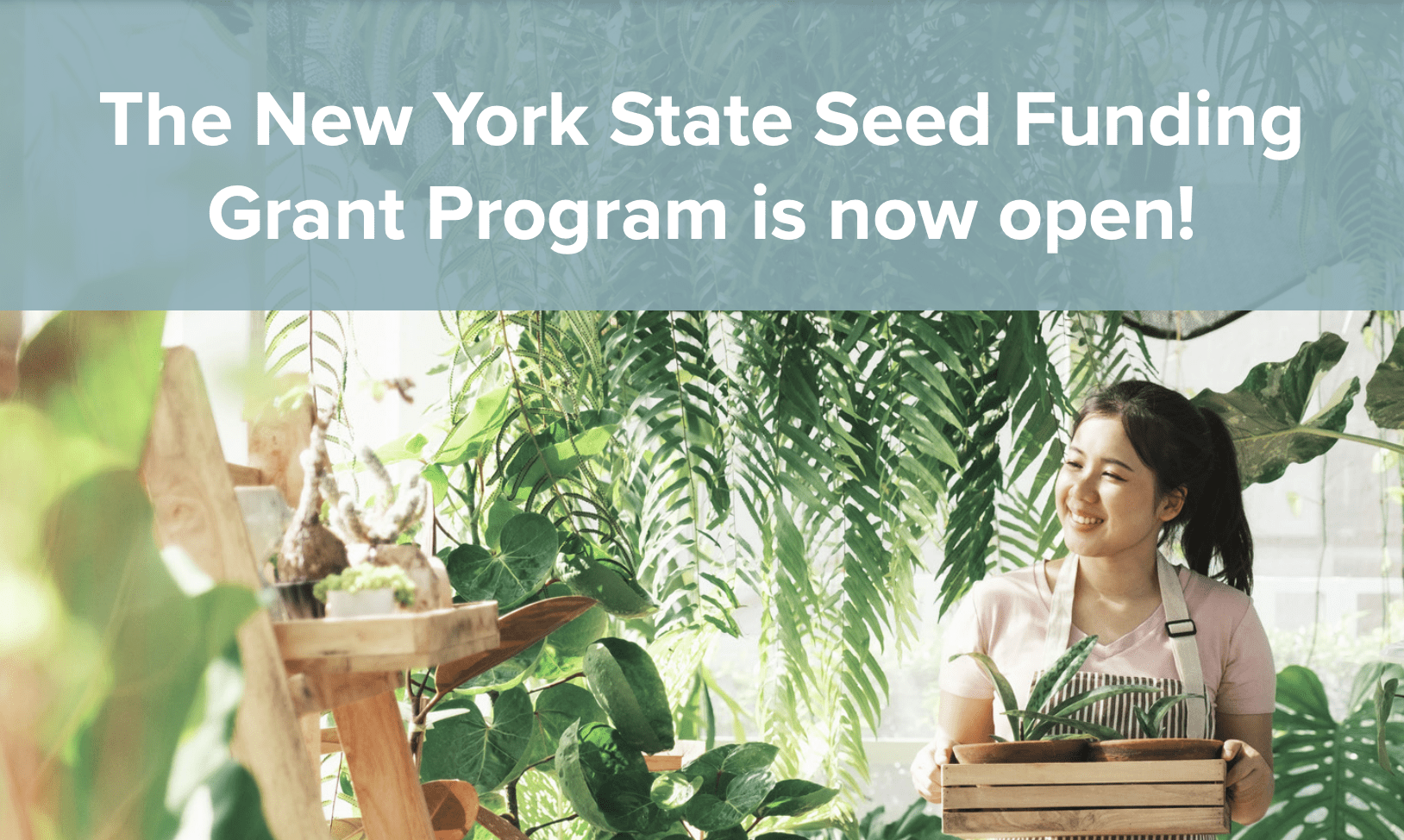 new york state small business seed funding grant program