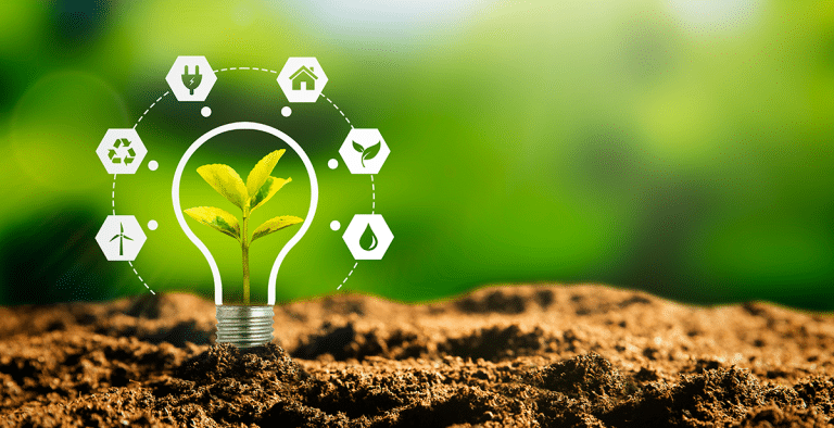 Sustainability Blog Graphic