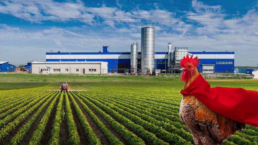 ViVHeader 2025 Option1