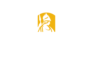 UAlbany Minerva CNSE Informal stacked goldwhite